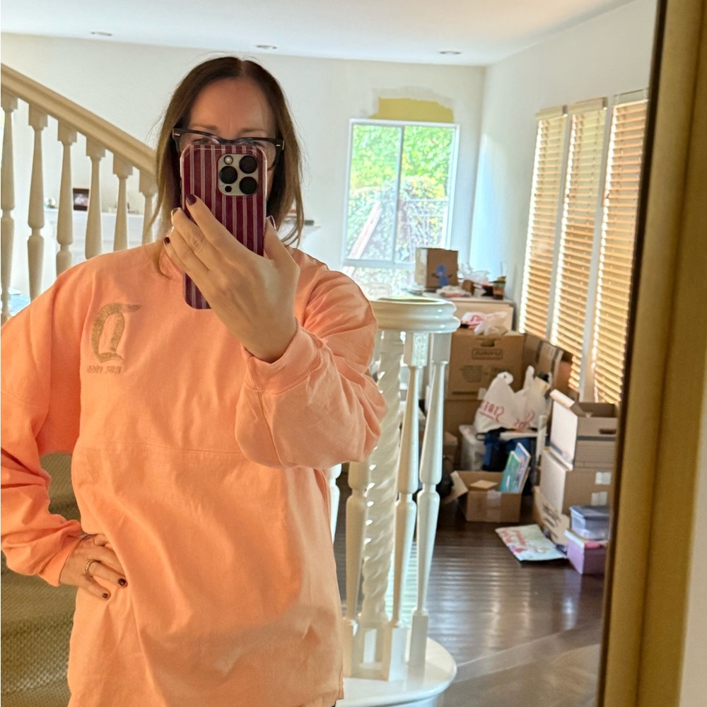 Disney Rosegold Pullover with Silver Lettering